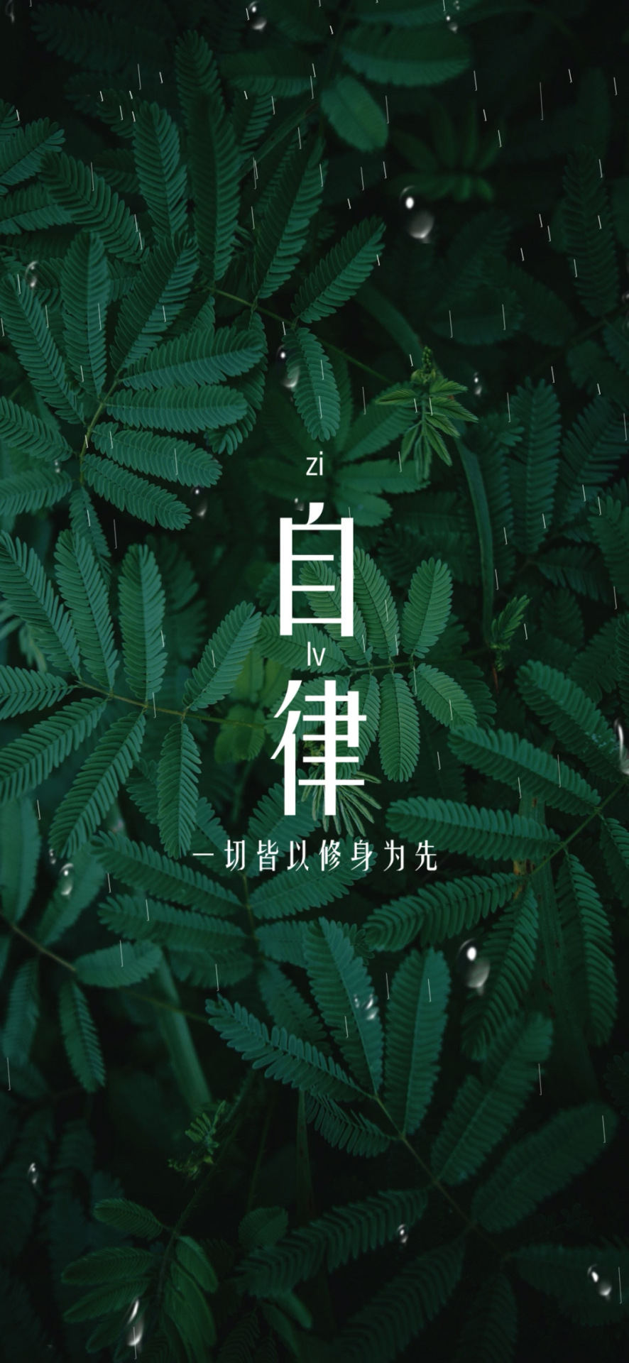 自律