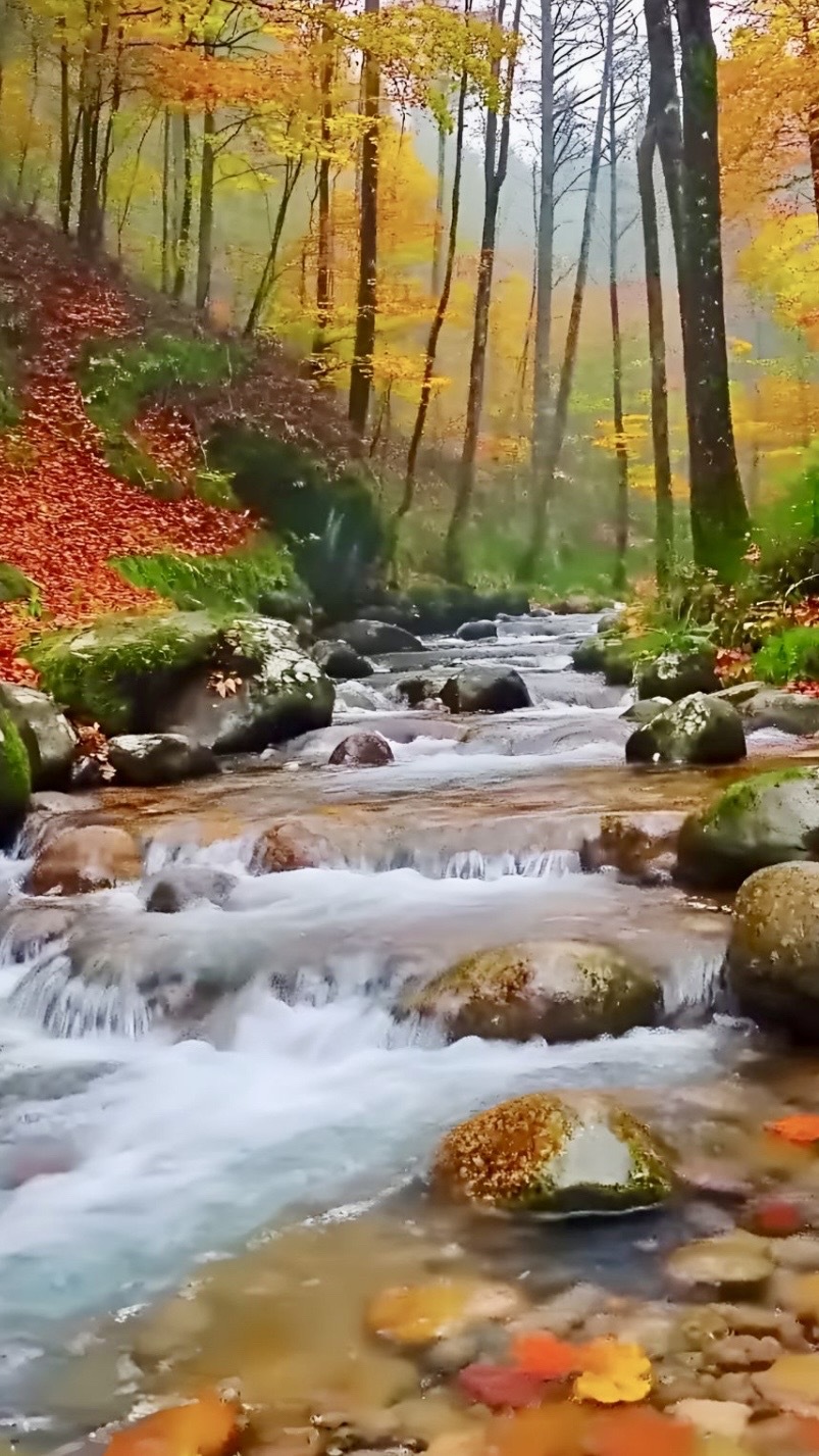 小溪秋色