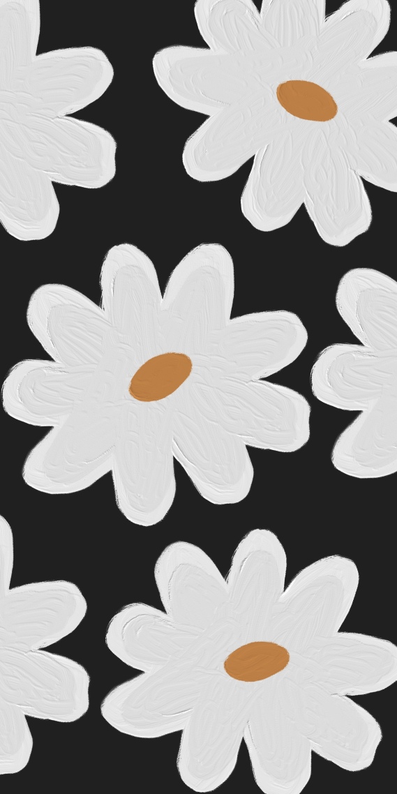 白色雏菊
