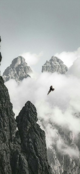 风景