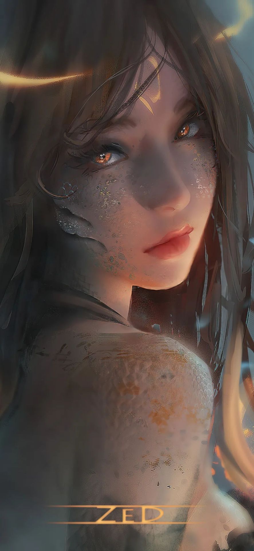 zed