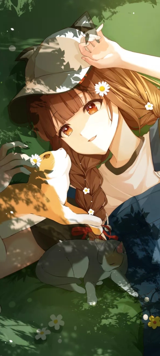 與貓