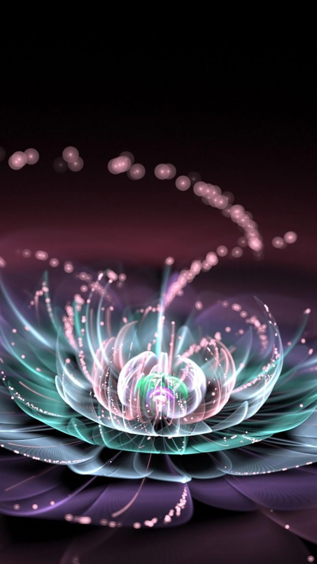 手机壁纸宇宙之花1