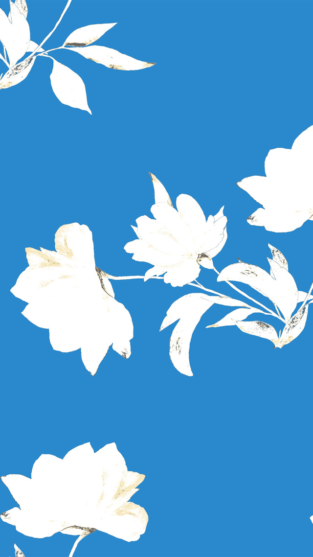 手机壁纸【蓝底白花】