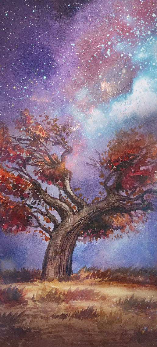 微信运动背景图片星空下的胡杨树