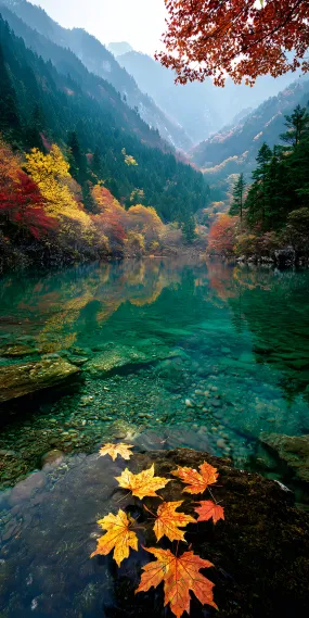 九寨秋湖，彩林浸碧水，一叶落秋深