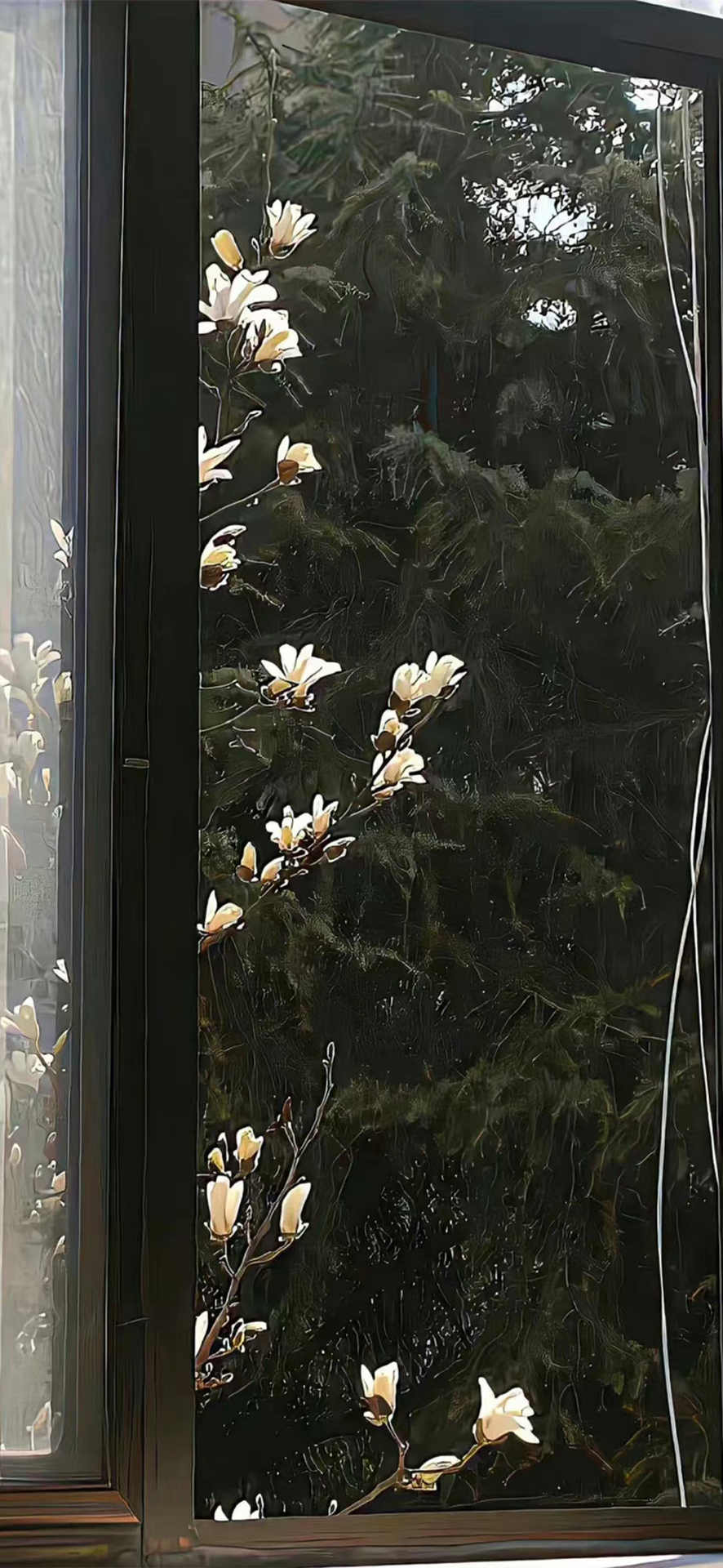 白色的花花