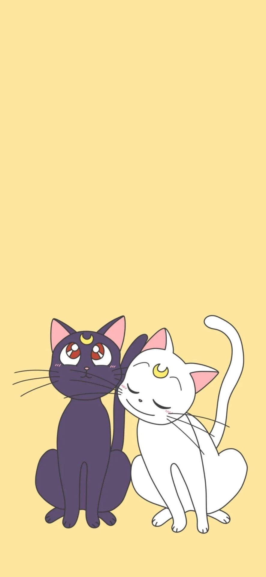 動漫貓咪