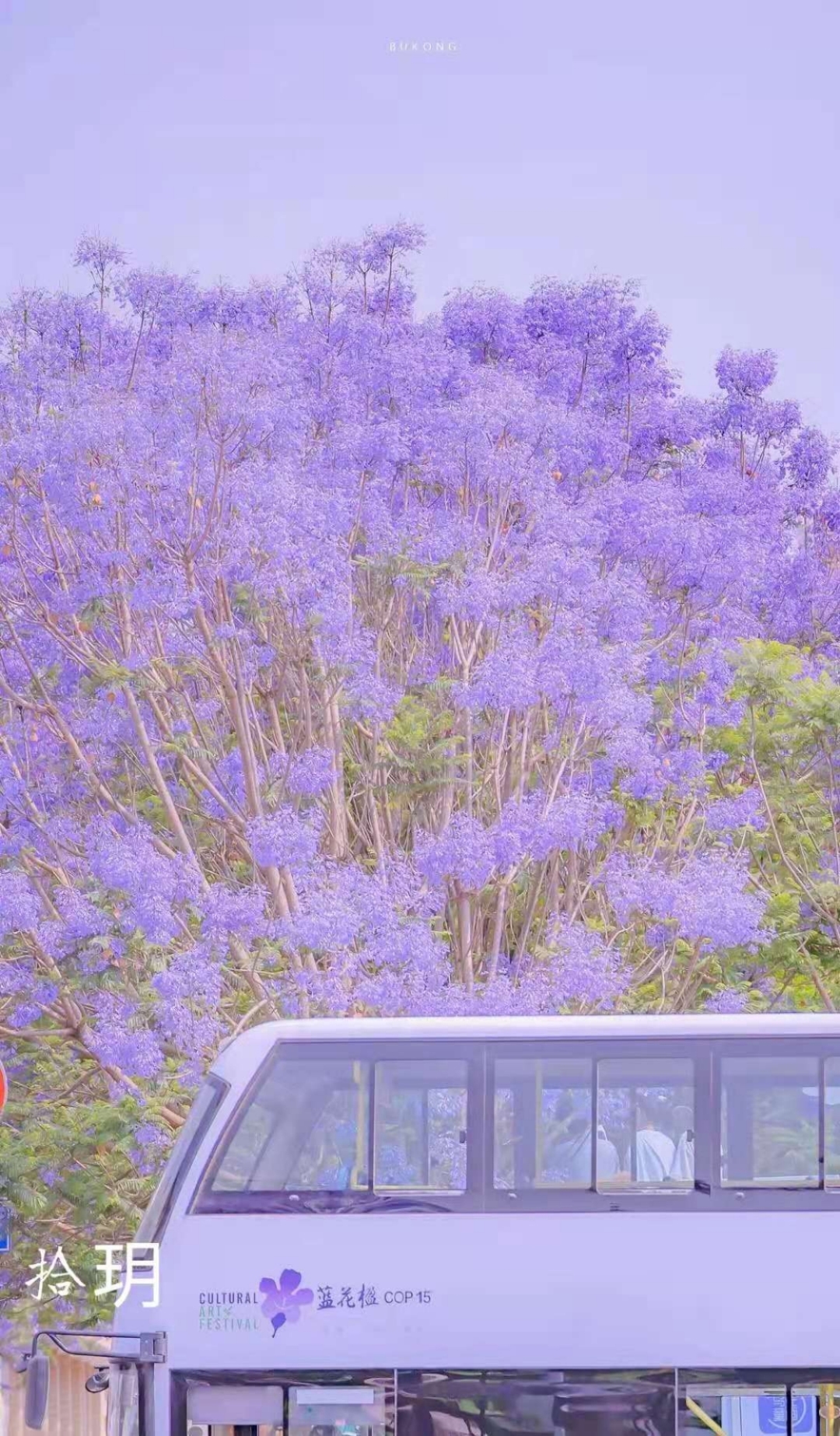唯美紫色微信背景壁紙