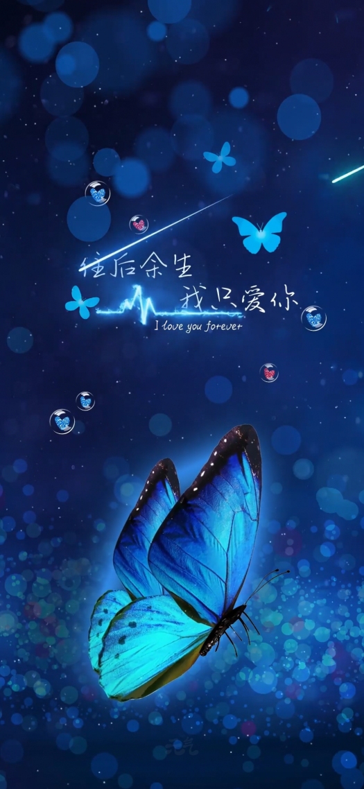蝶舞