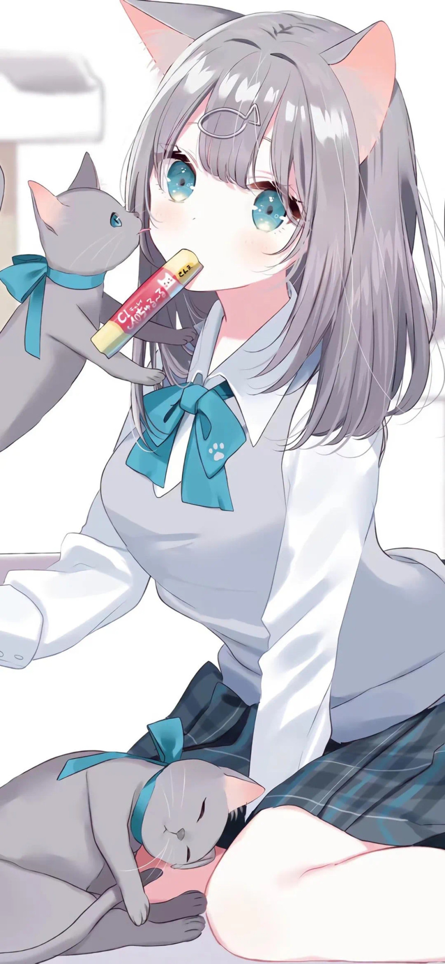 微信壁紙少女與貓