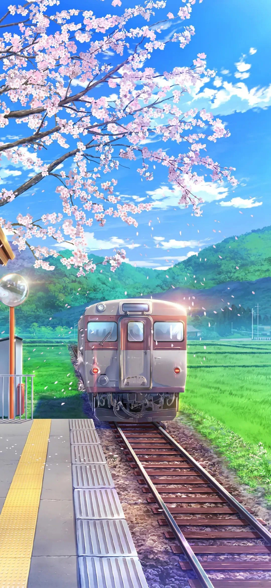 櫻花火車