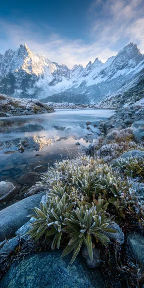 晨曦染雪峰，阿尔卑斯冰湖的凛冬仙境