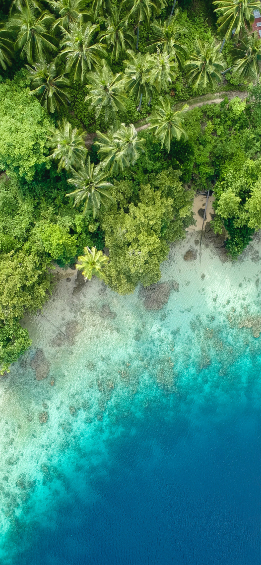 唯美海滩