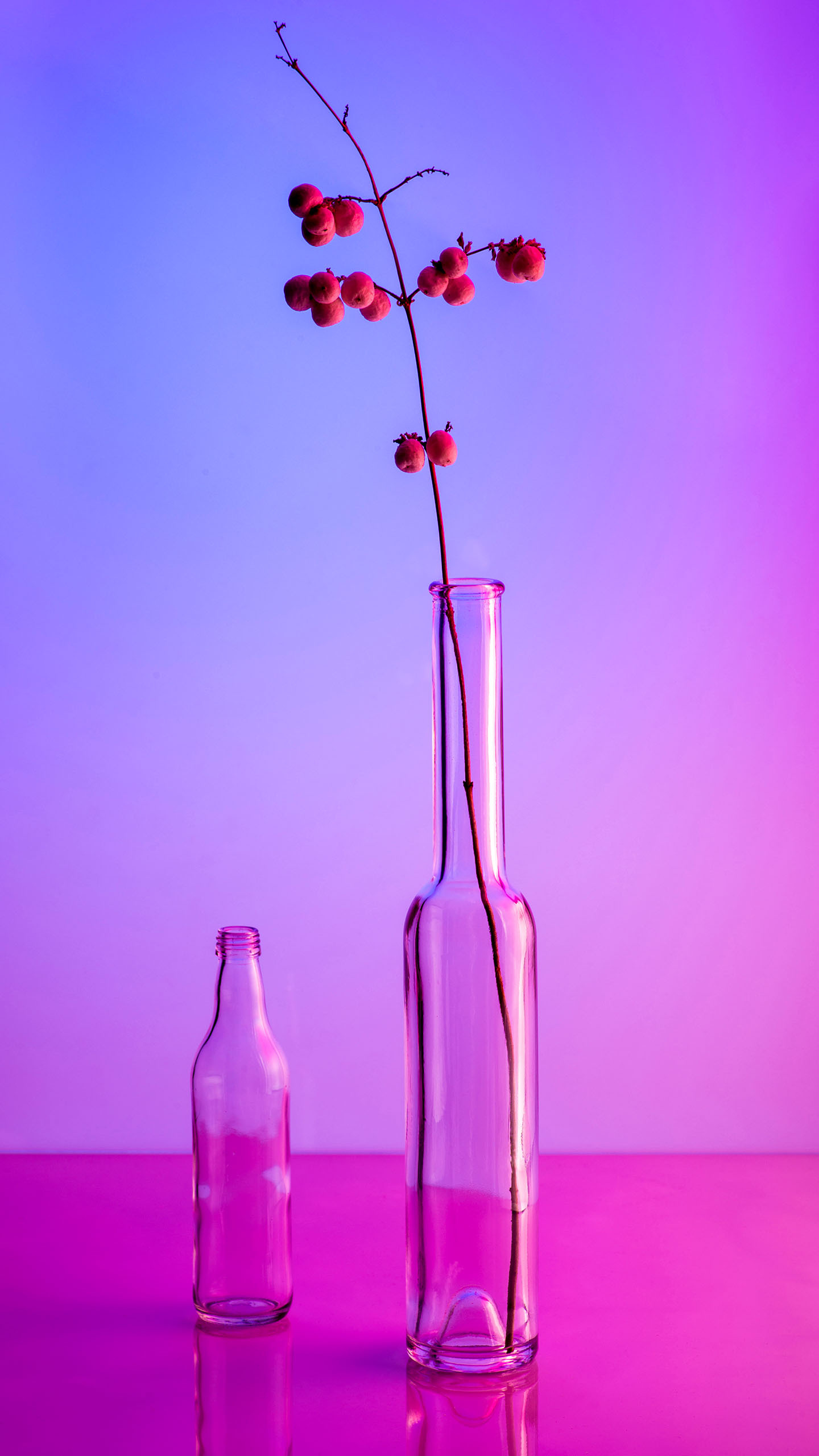 @美麗的花瓶 創意微信圖片背景