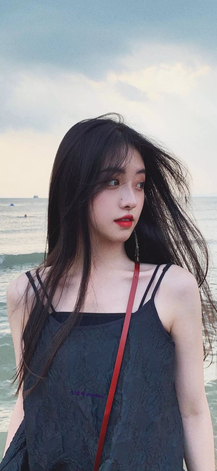 牛牛牛

