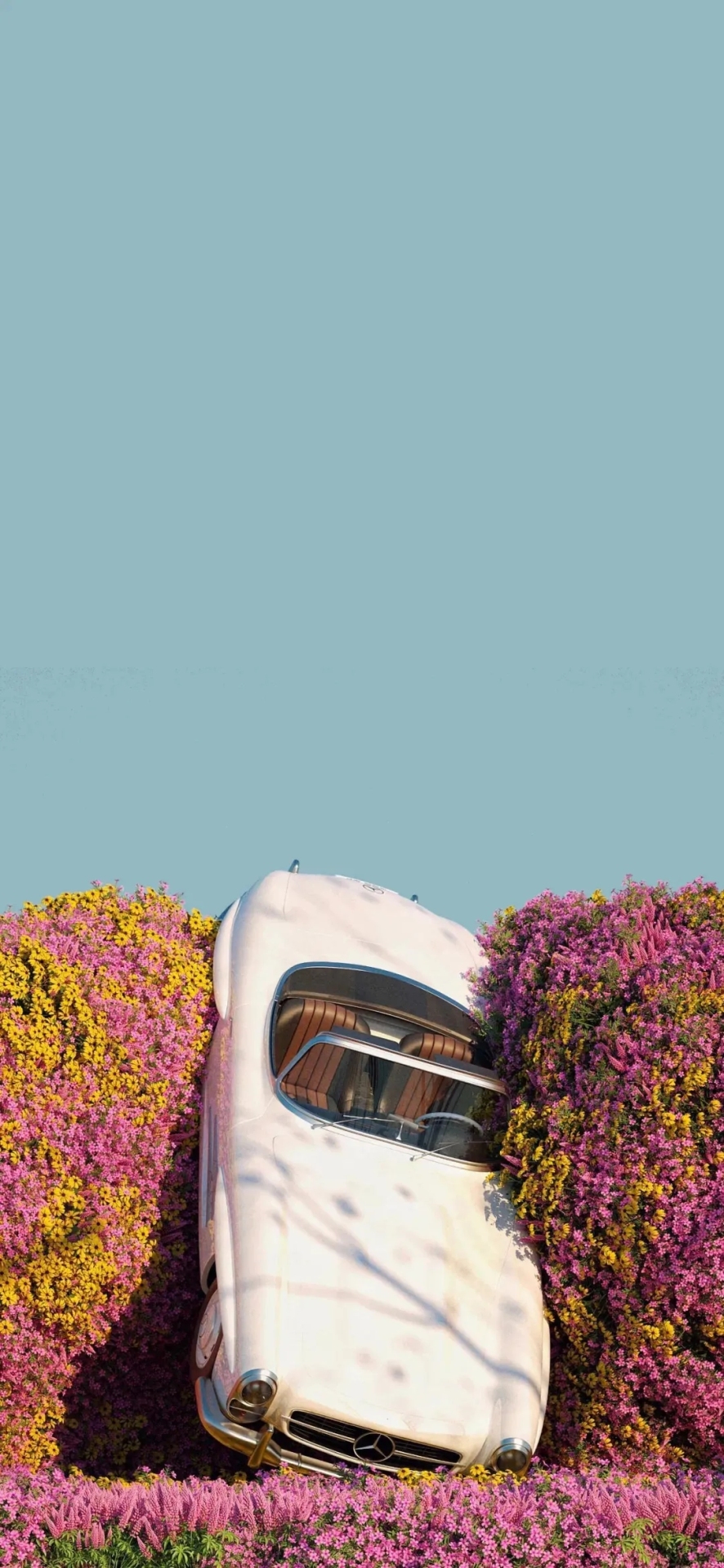 车与花