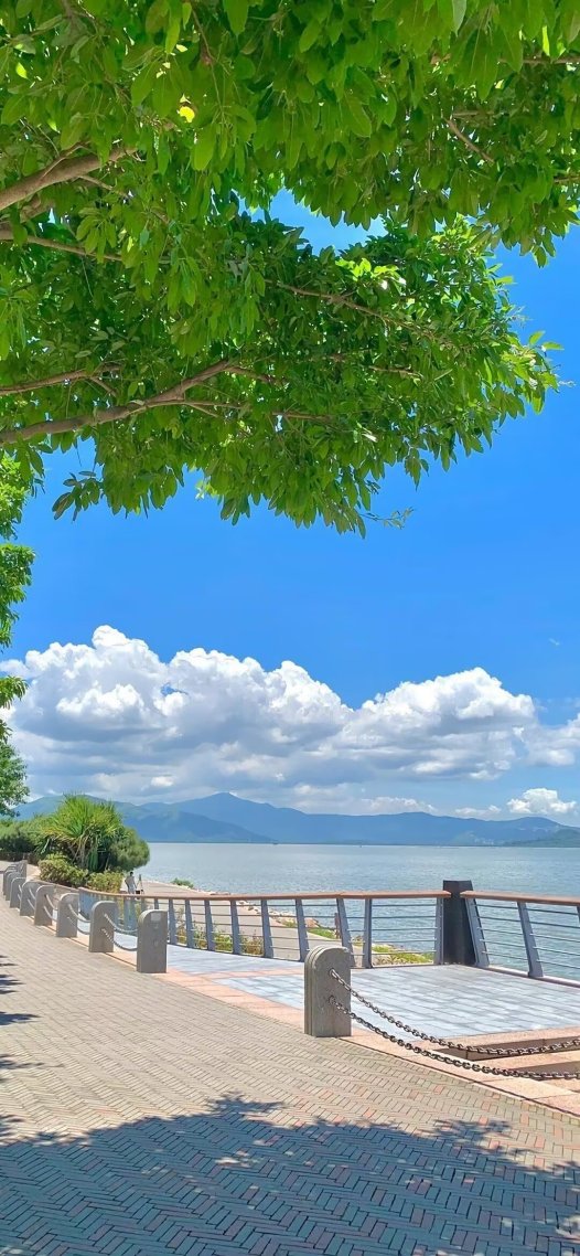 夏天的风