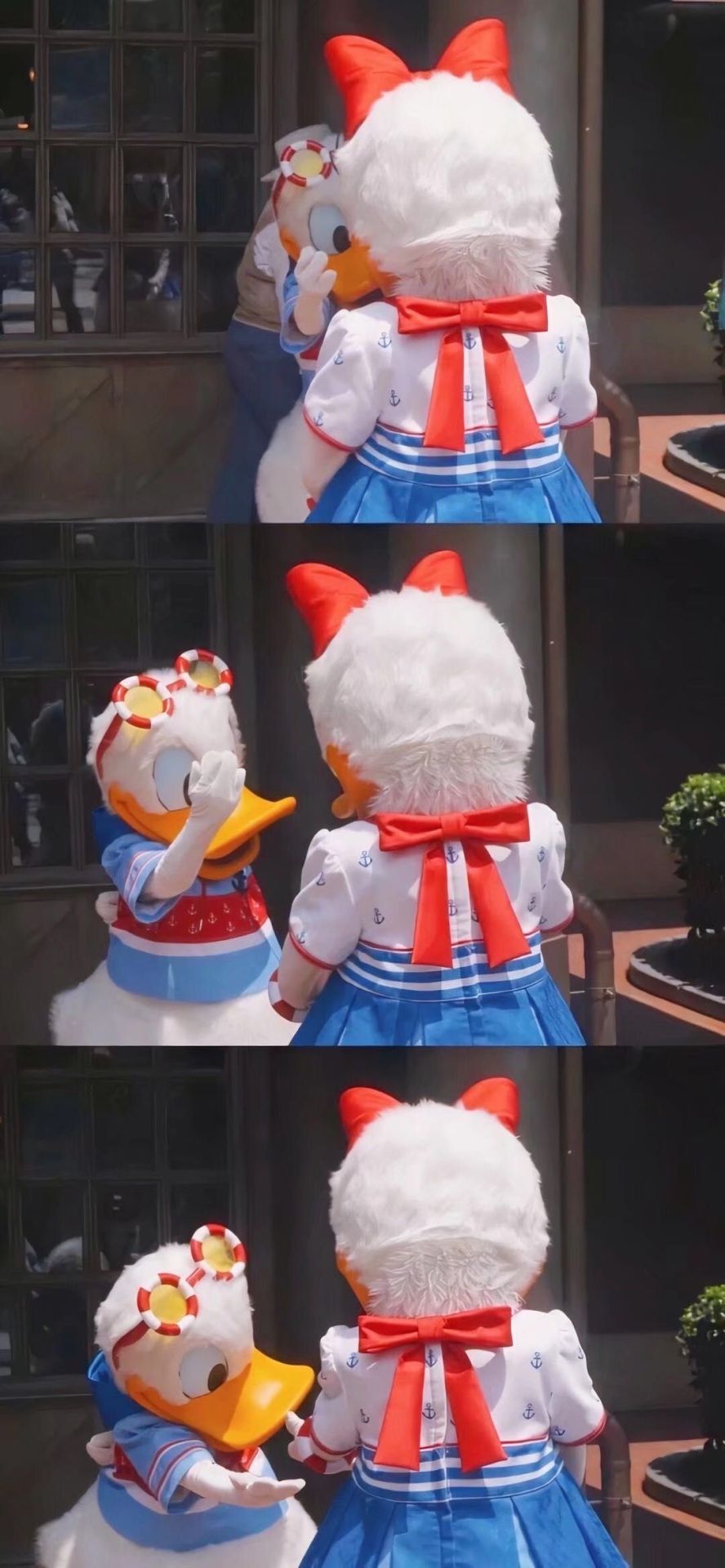 微信主題背景唐老鴨
