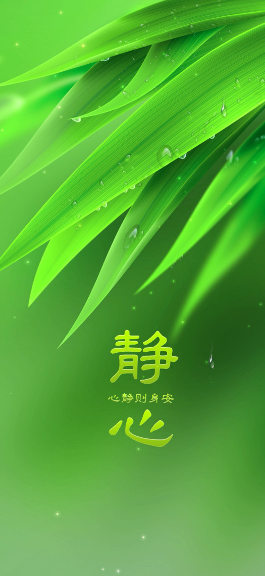 静心