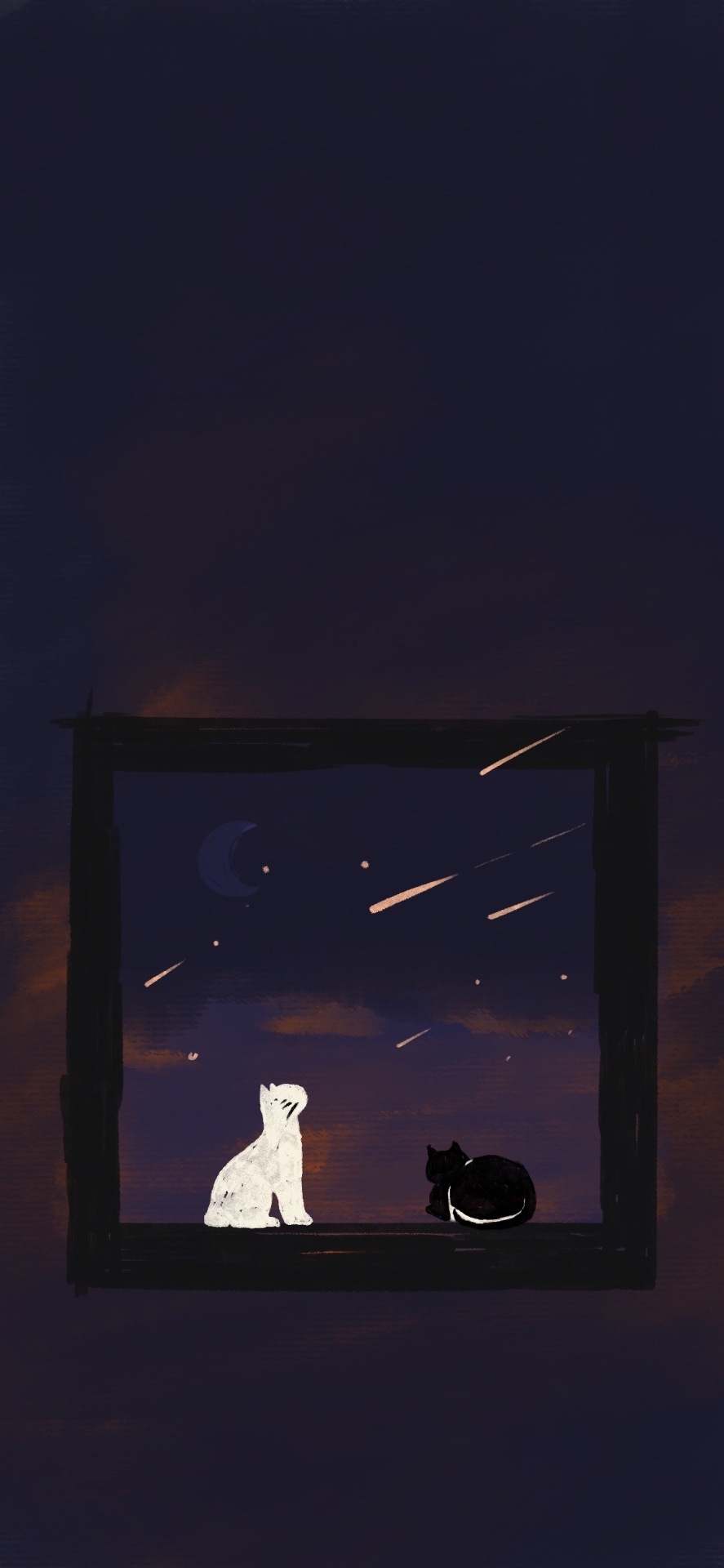 窗边的猫