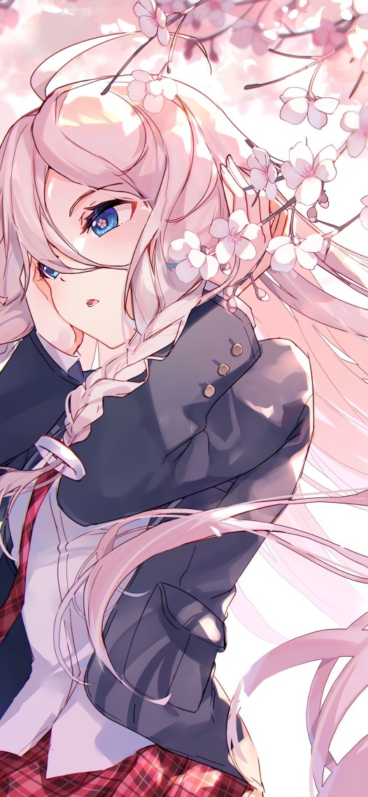 櫻花絕美少女
