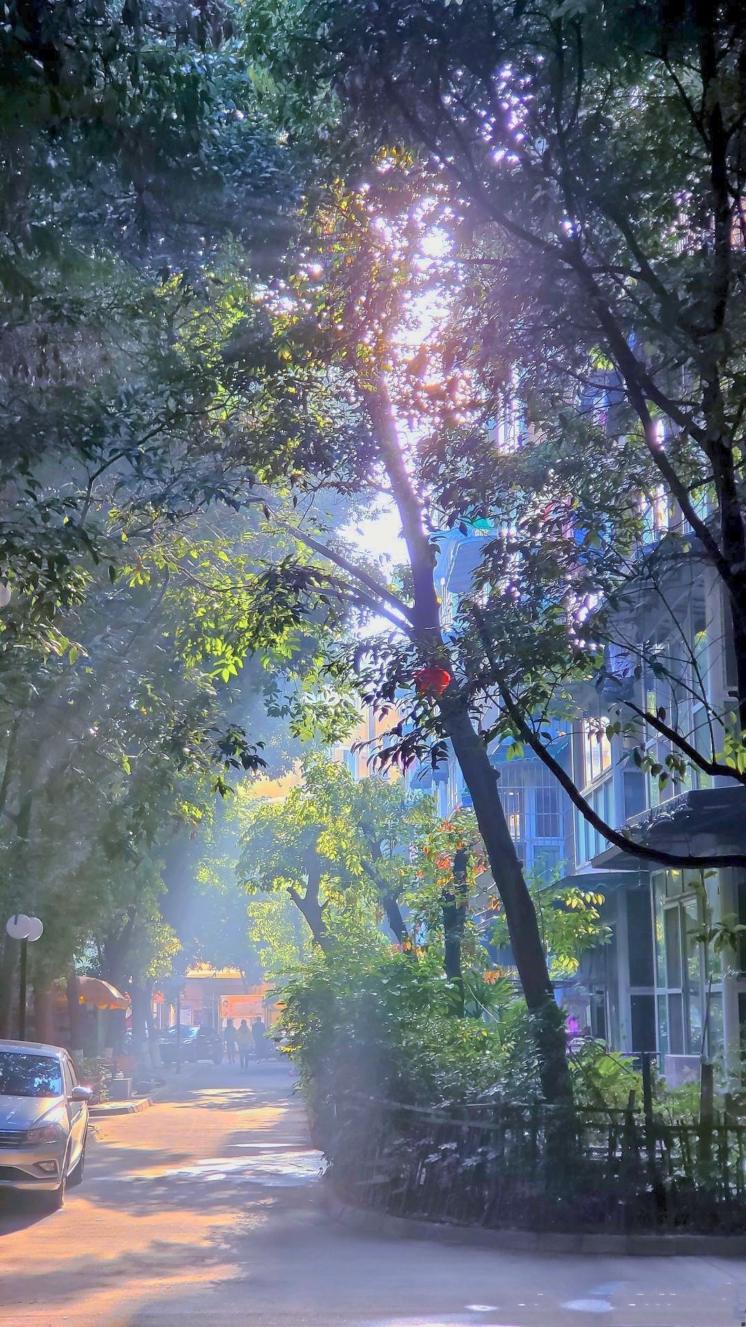 街景