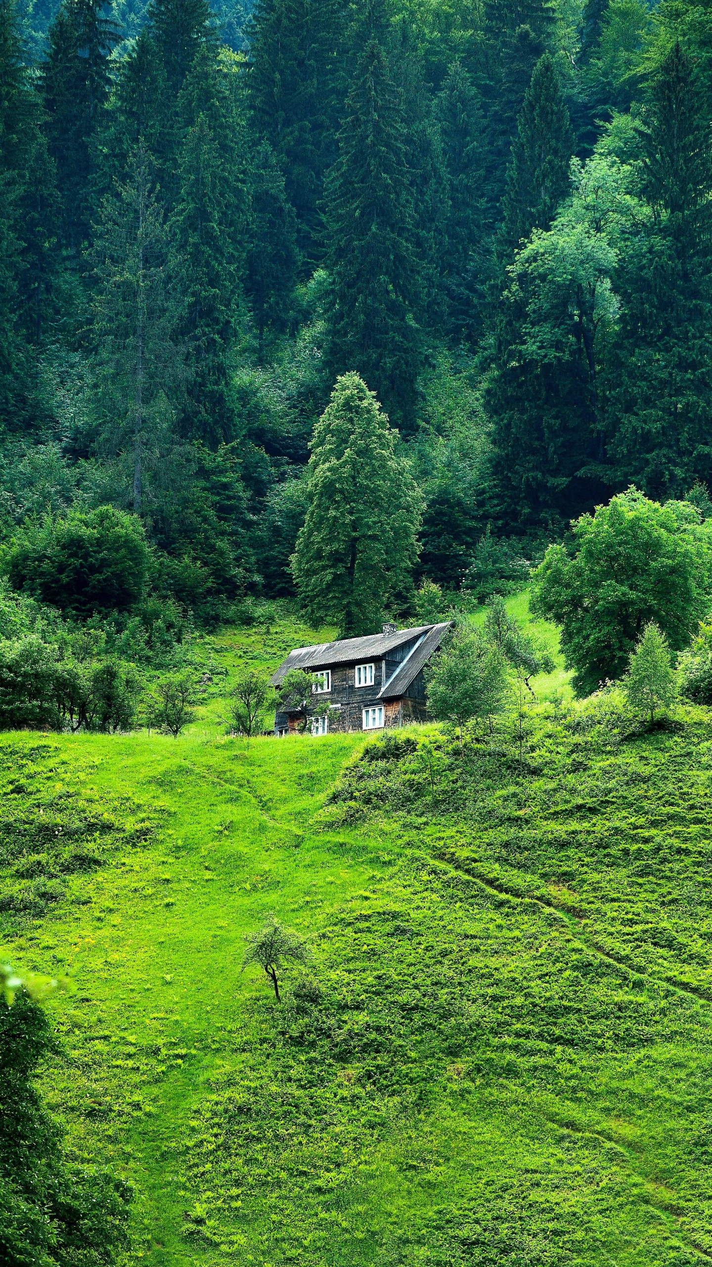綠茵小閣