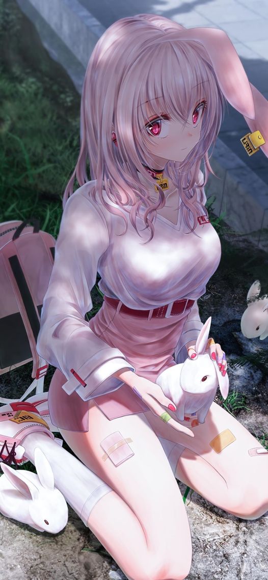 兔子造型