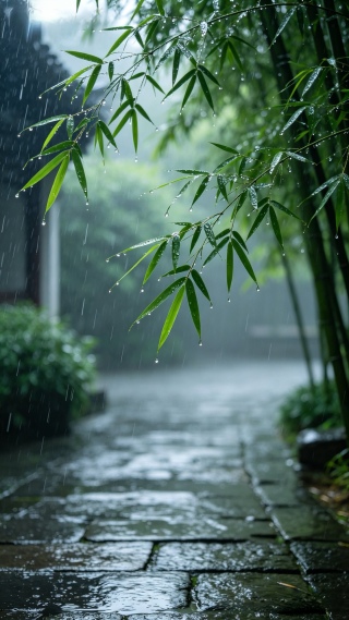 雨中竹林