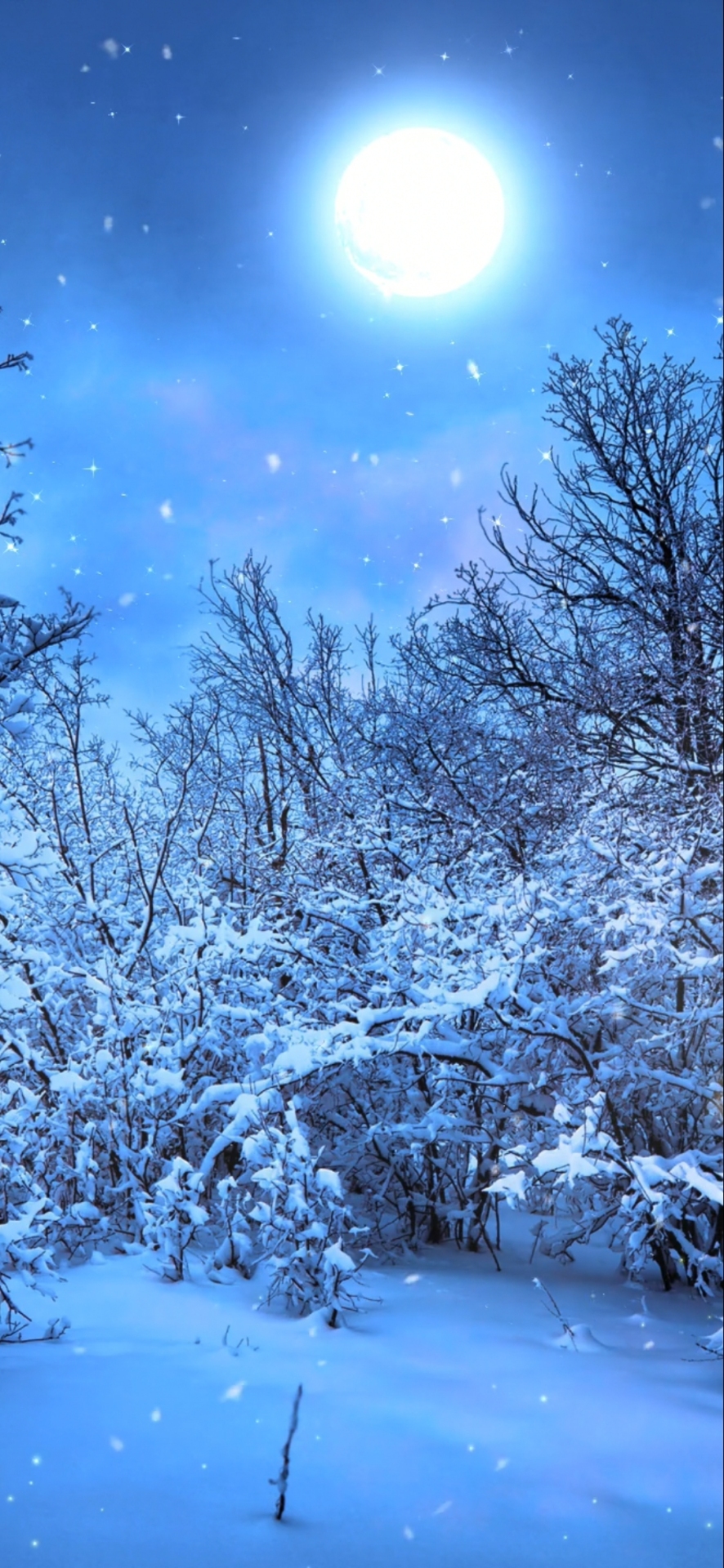月光冬雪手機微信背景圖片