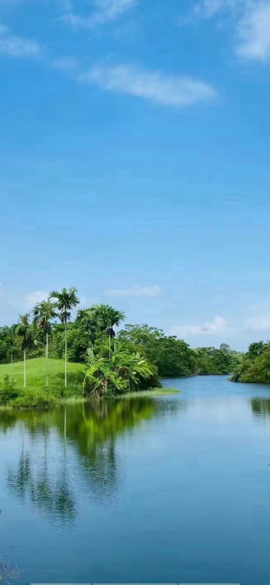 自然風景
