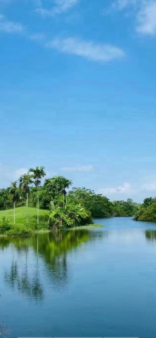 自然风景