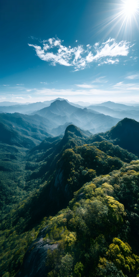远赴青山，向阳而行