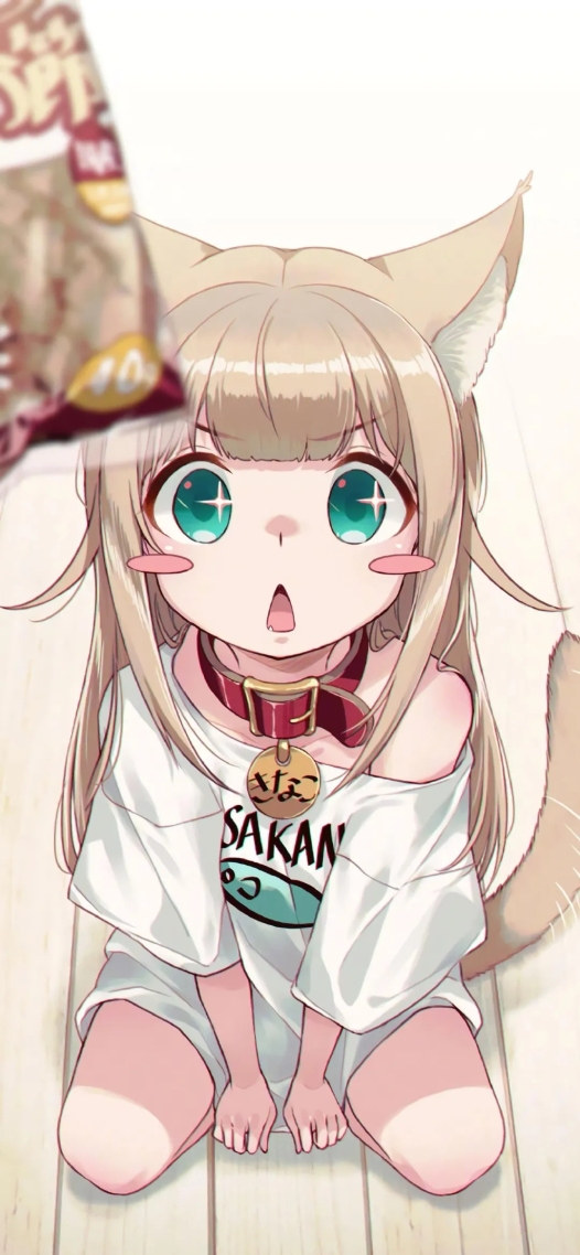 四十原貓娘
