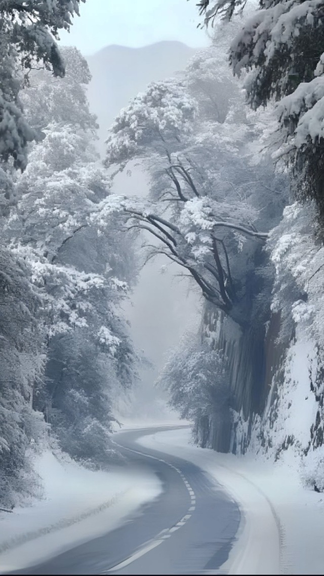 下雪了