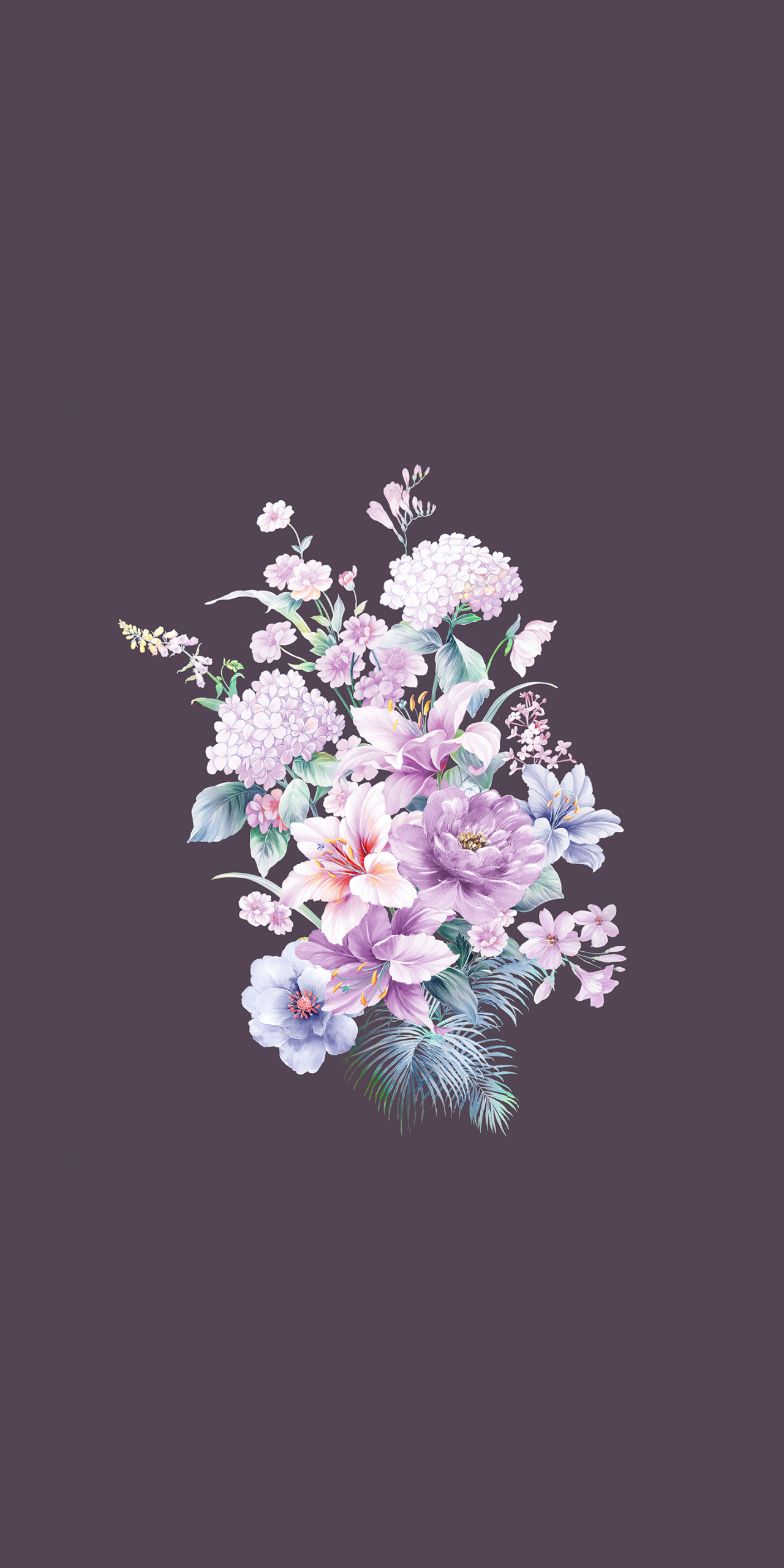 微信封面圖片大全百合花束&插畫4