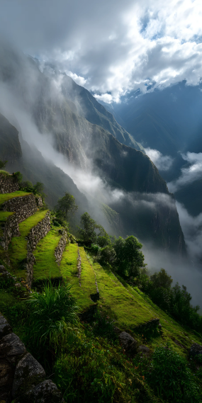 云隐群山，古阶入仙境
