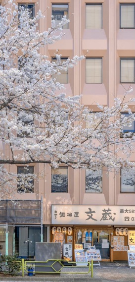 日系唯美治愈樱花街道