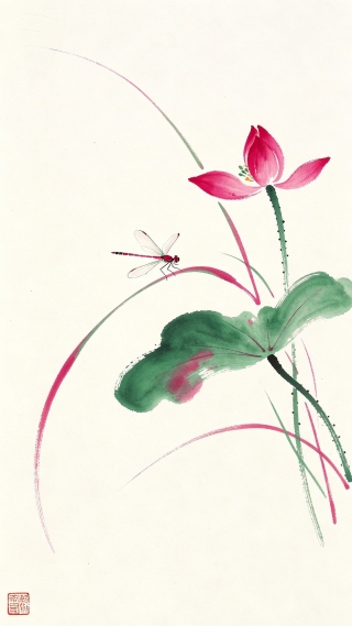 蜻蜓