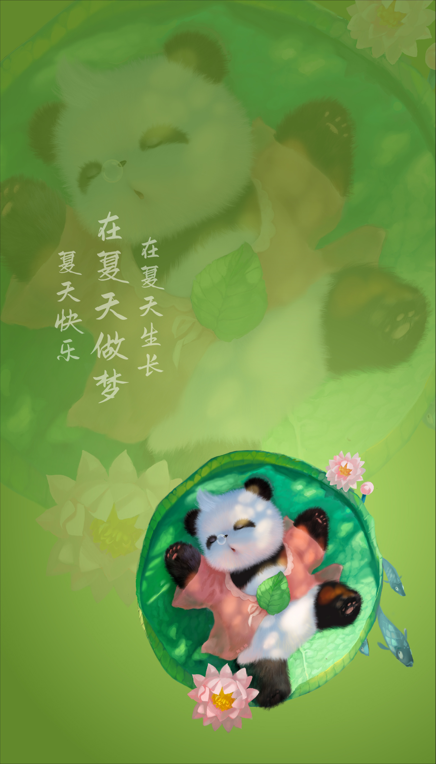 熊非熊夏日清涼睡蓮