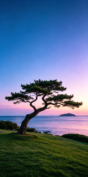 海岸暮色