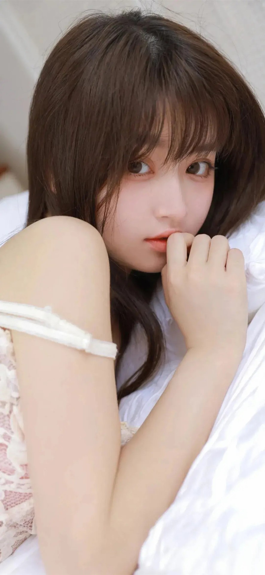 美人儿