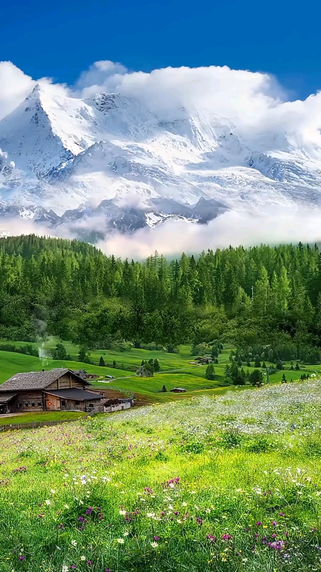雪山綠樹