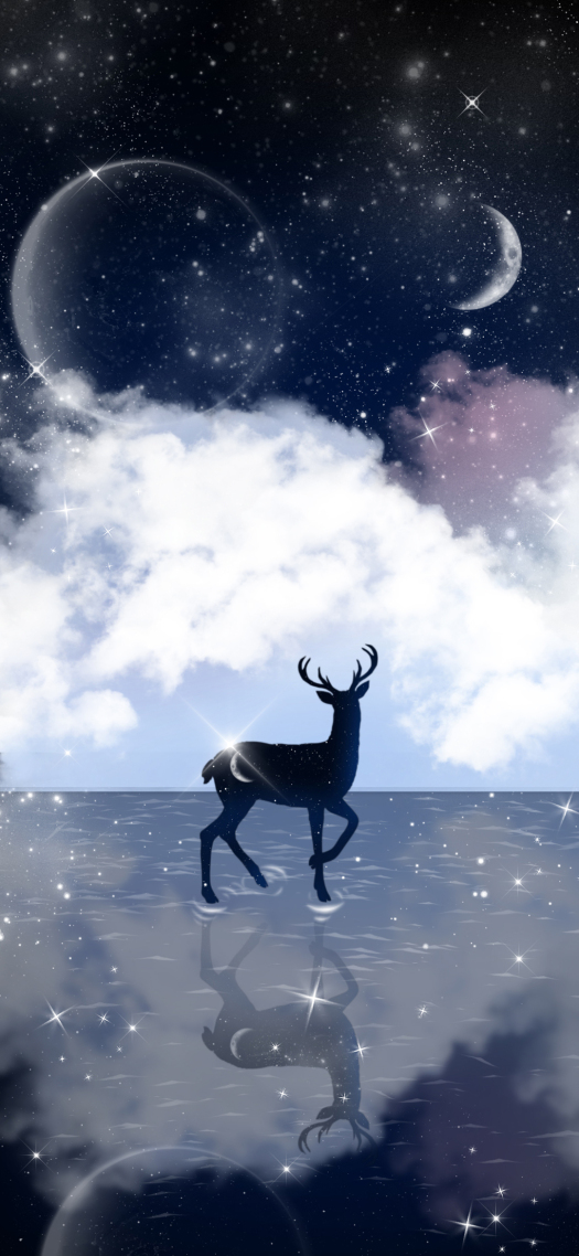 聊天背景圖星空鹿