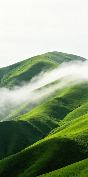 青山