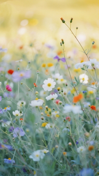 花