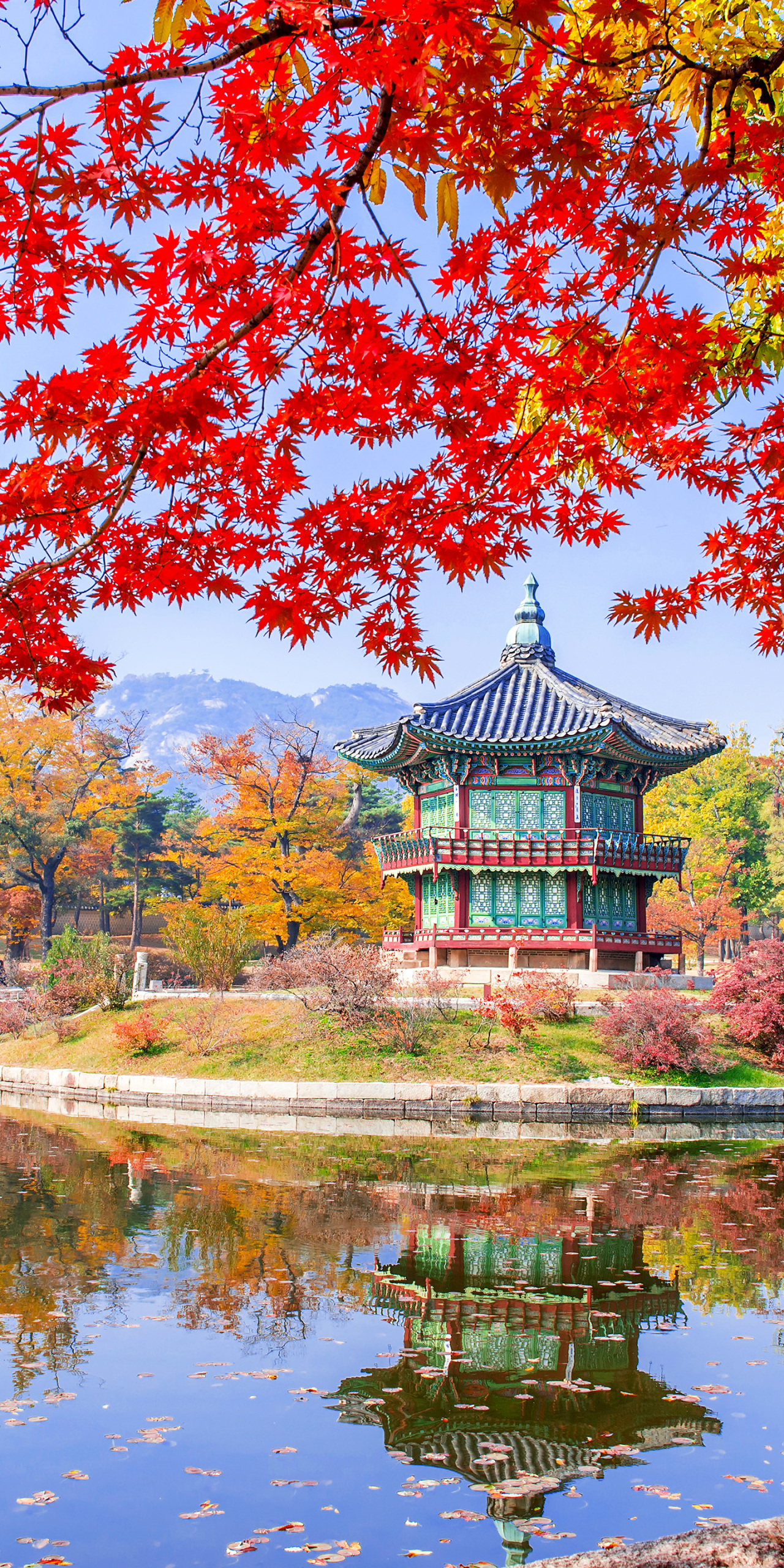 手机壁纸高清图片@景福宫秋叶 旅行