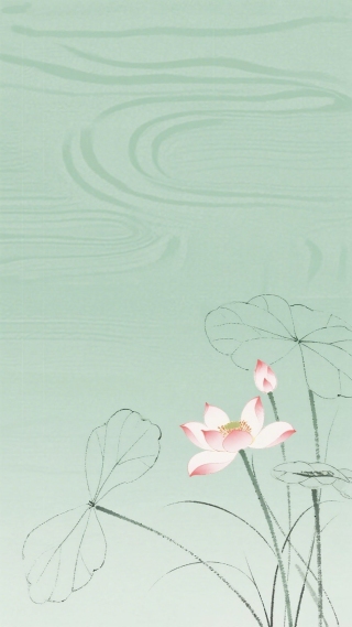 荷花