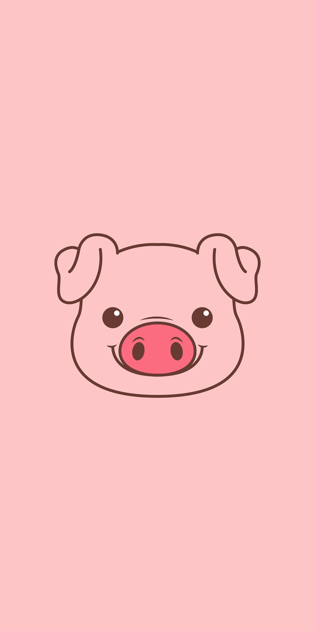 【可愛小豬 可愛】